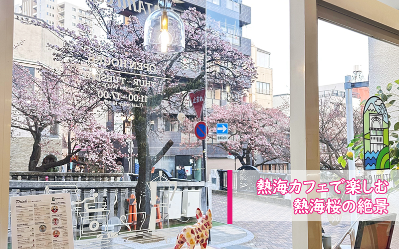 熱海桜