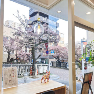熱海桜